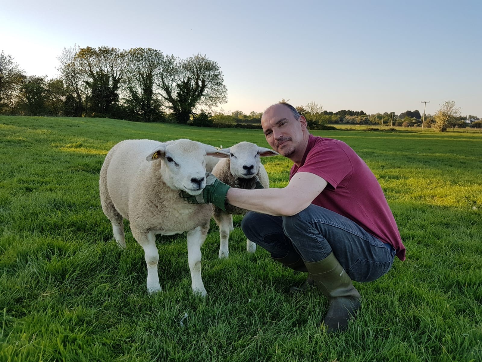 Read more about the article Final Nominee for Most Improved LambPlus Flock 2019 – Rosemary Madden & Etienne Pinot – Crannóg Texels (RSF)