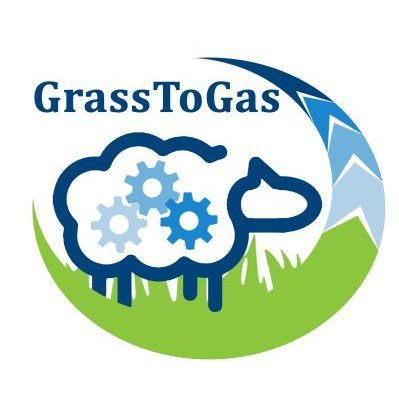 You are currently viewing Grass to Gas: Strategies to mitigate GHG emissions from pasture-based sheep systems