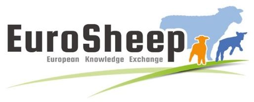 You are currently viewing Have Your Say on Europe’s Latest Sheep Research Project: EuroSheep.