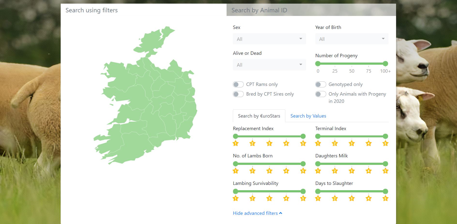 New Flockbook and Breeder Search has launched