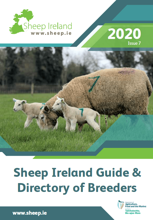 Sheep Ireland Guide & Directory of Breeders 2020 now Available!