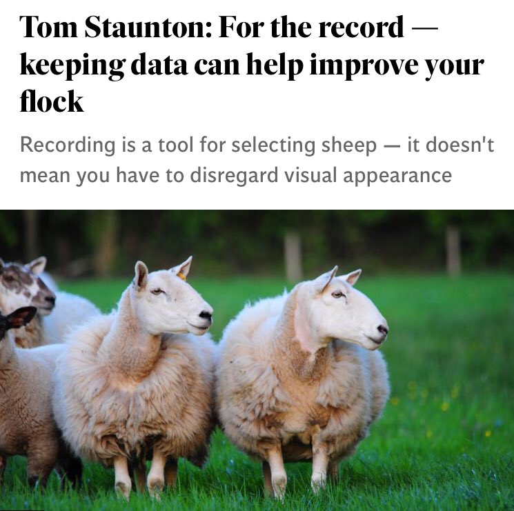 Read more about the article “Recording is a tool for selecting sheep, along with visual appearance”