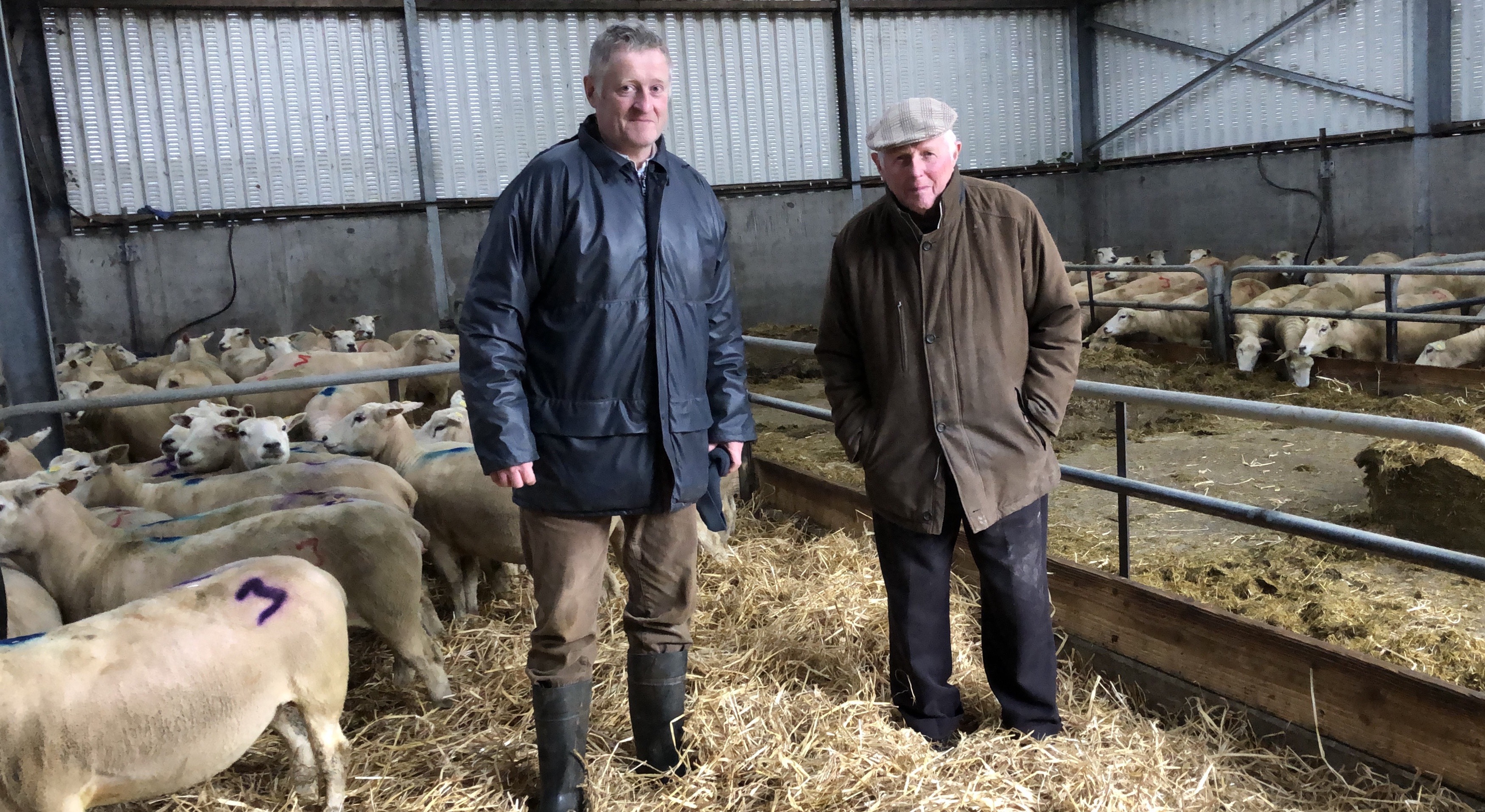 Read more about the article Finalist of Highest Achieving LambPlus Flock 2020 – Tim Keady, Oltore Belclares