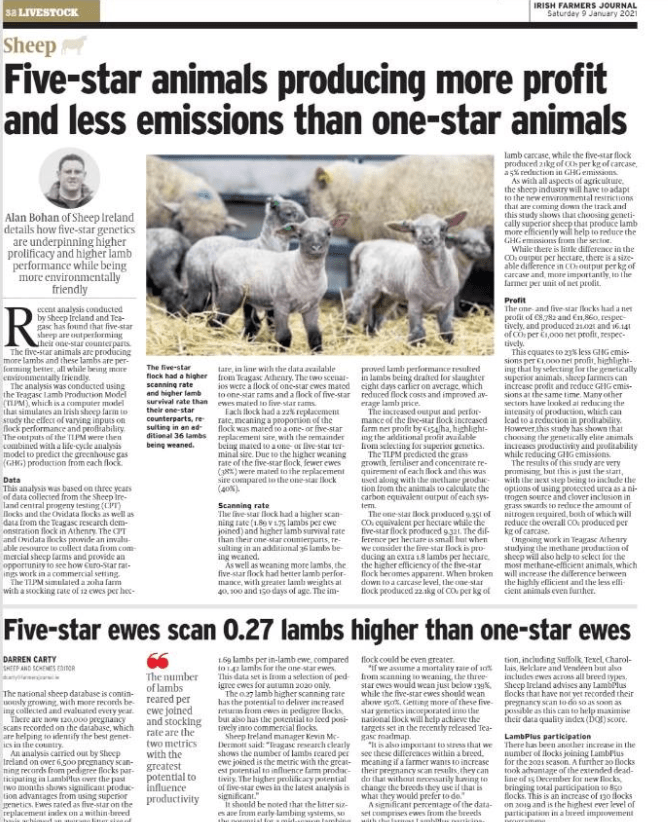 Five-star animals producing more profit and less emissions than one-star  animals - Sheep Ireland