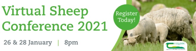 Read more about the article Teagasc Virtual Sheep Conference 26th & 28th Jan 2021!