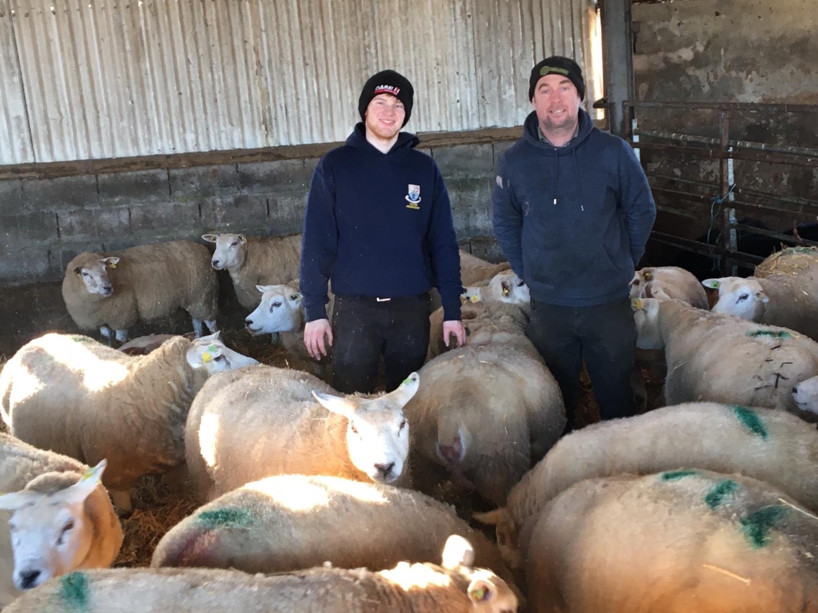 You are currently viewing Finalist of Most improved LambPlus flock 2020 – Enda Turley, Newbridge Texels