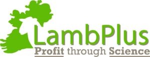 Sheep Ireland’s LambPlus programme 2023 is now open!