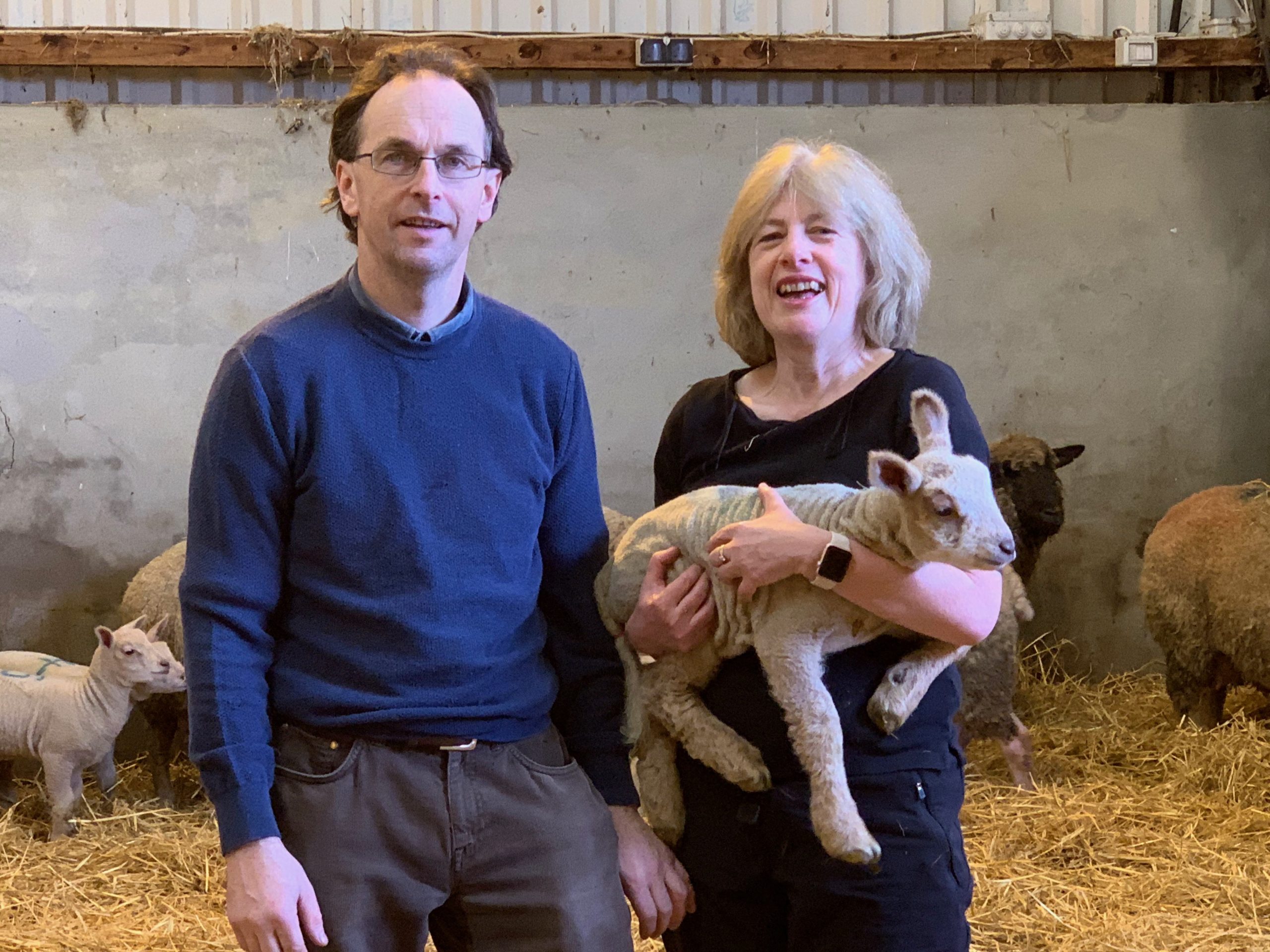 Read more about the article Finalist of Highest Achieving LambPlus Flock 2020 – Maria Philpott, Duhallow Charollais