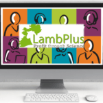 Online Workshops Prove a Hit With LambPlus Breeders