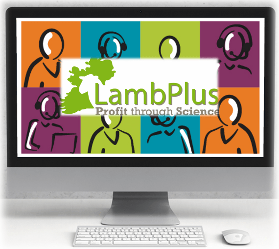 Webinar: Getting To Grips With LambPlus