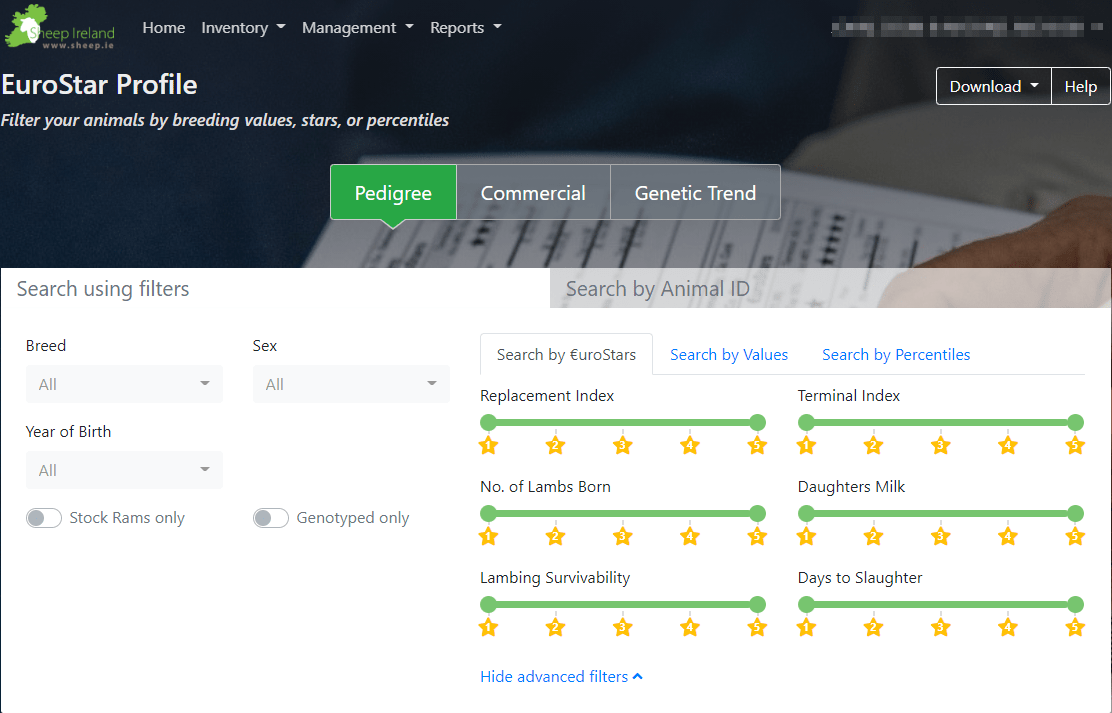 You are currently viewing NEW Eurostar Profile Report has launched!