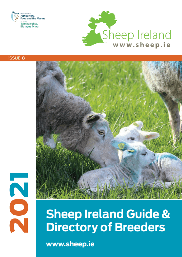 Read more about the article Sheep Ireland Guide & Directory of Breeders 2021