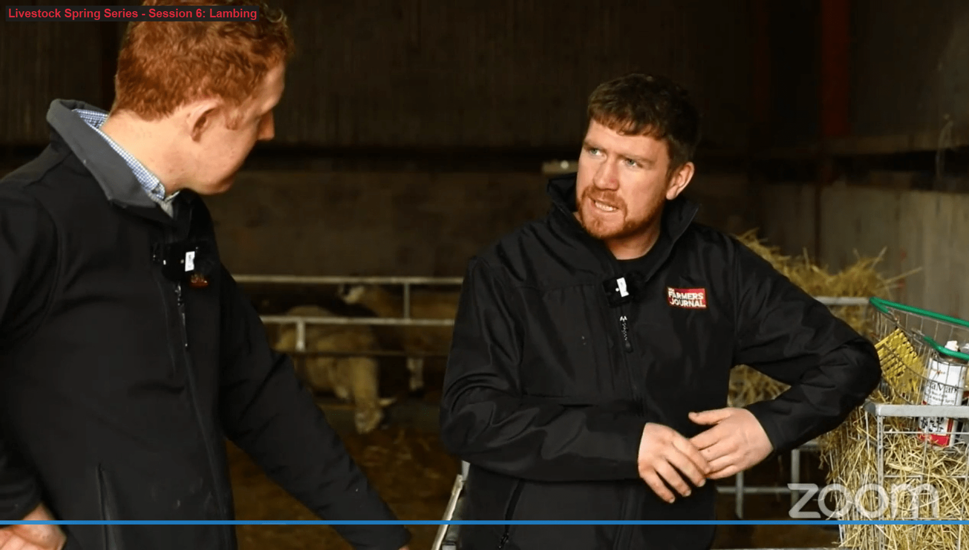 You are currently viewing Tullamore Farm Lambing 2022 – “Anyone who is serious about improving the genetics of their flock, performance recording is invaluable”