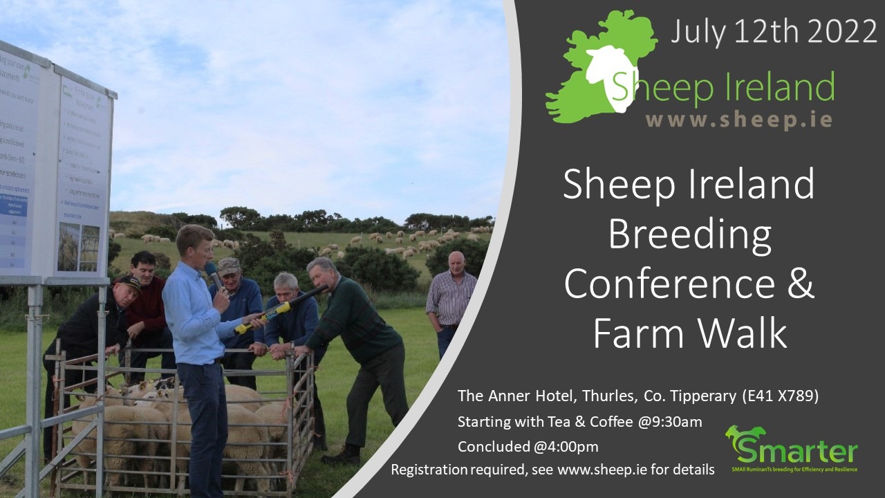 You are currently viewing Sheep Ireland Breeding conference and Farm Walk