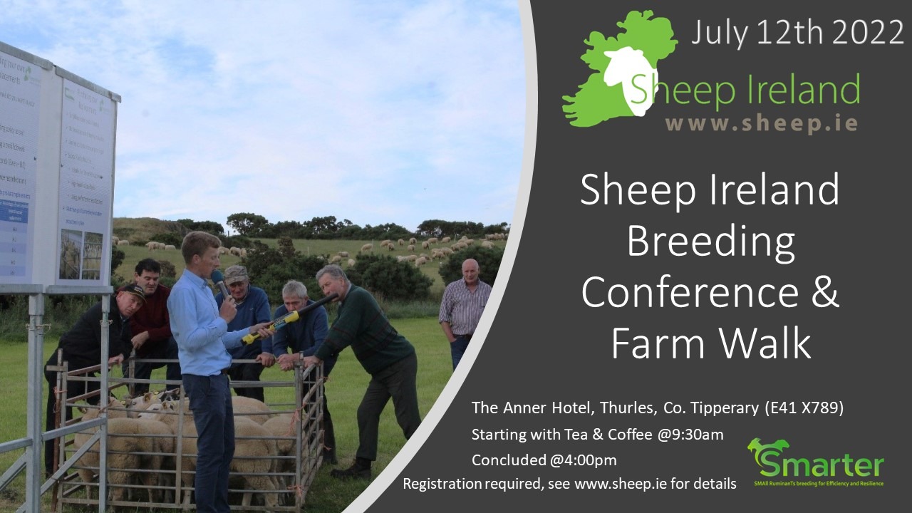 Read more about the article Sheep Ireland Breeding conference and Farm Walk