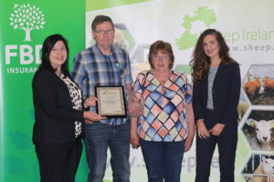 Read more about the article Winner of Most Improved LambPlus Flock 2022 – Christy, Margaret & Brian Gallagher, Texels, Pullagh