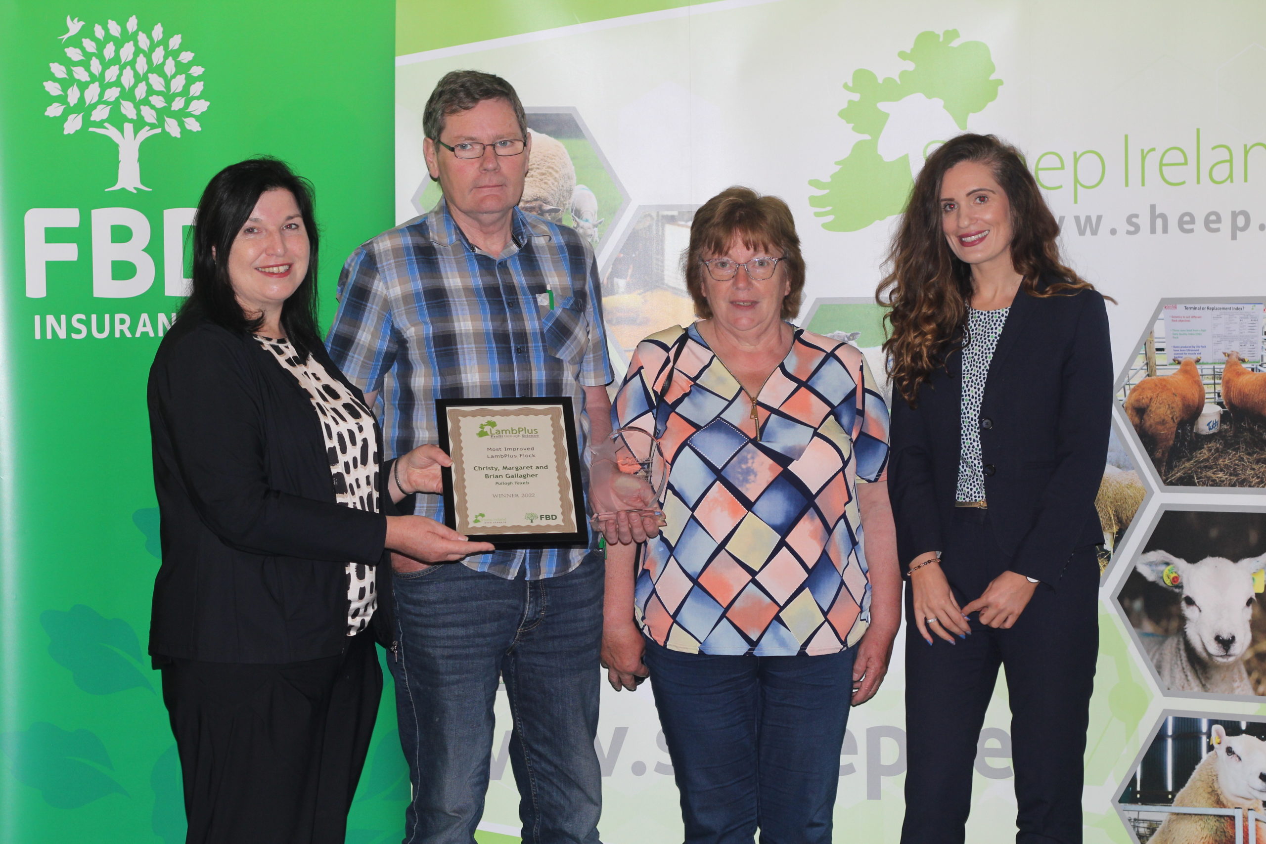 You are currently viewing Winner of Most Improved LambPlus Flock 2022 – Christy, Margaret & Brian Gallagher, Texels, Pullagh