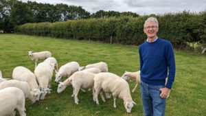 Read more about the article Finalist of Highest Achieving LambPlus Flock 2022 – Liam Delaney, Belclare, Coolgarragh