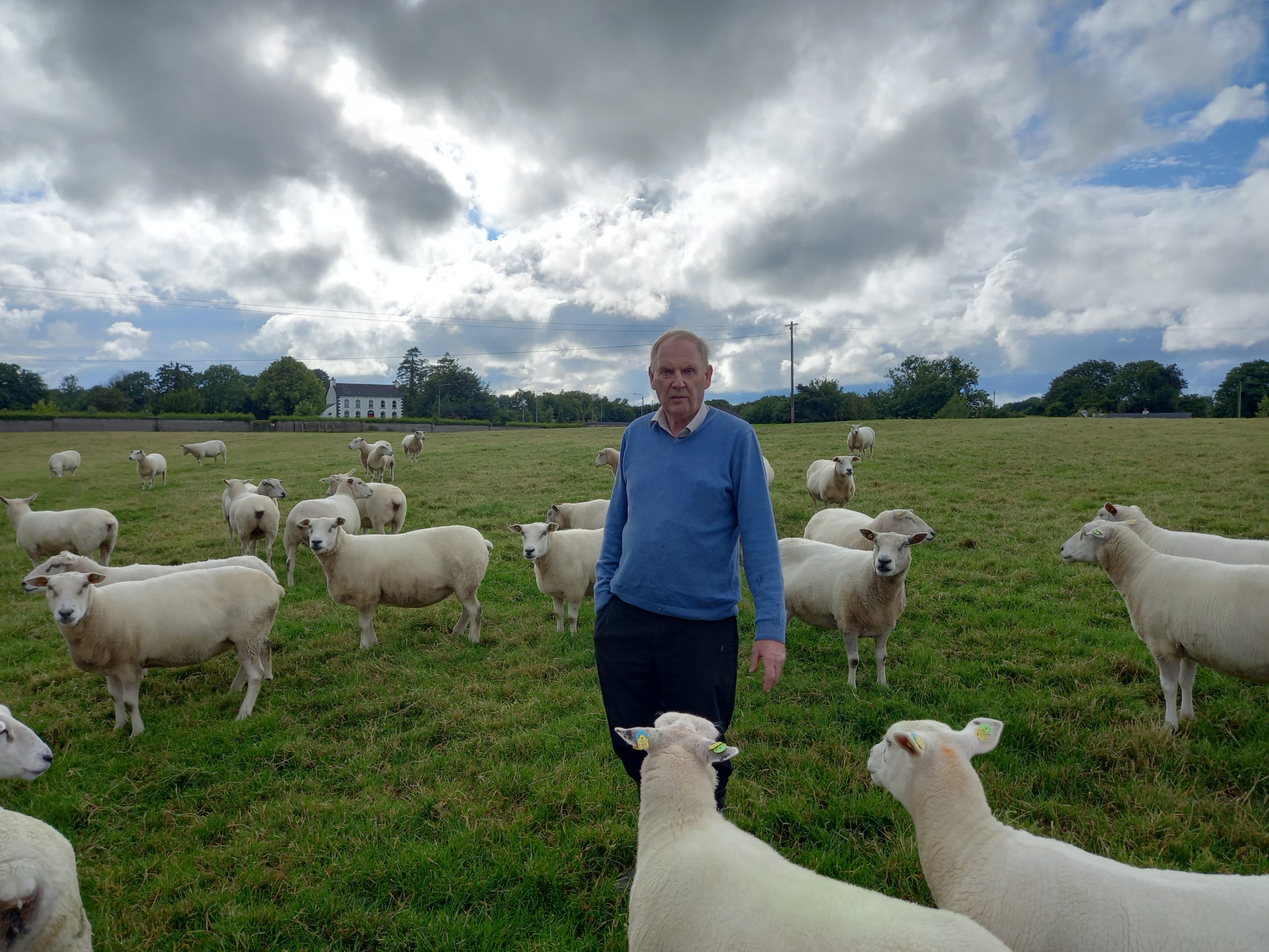 Read more about the article Finalist of Highest Achieving LambPlus Flock 2022 – Liam & Eoin Dunne, Belclares, Tubber