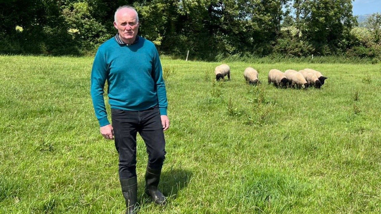 You are currently viewing Finalist of Most Improved LambPlus Flock 2022 – Michael Clarke, Suffolks, Ballyhine