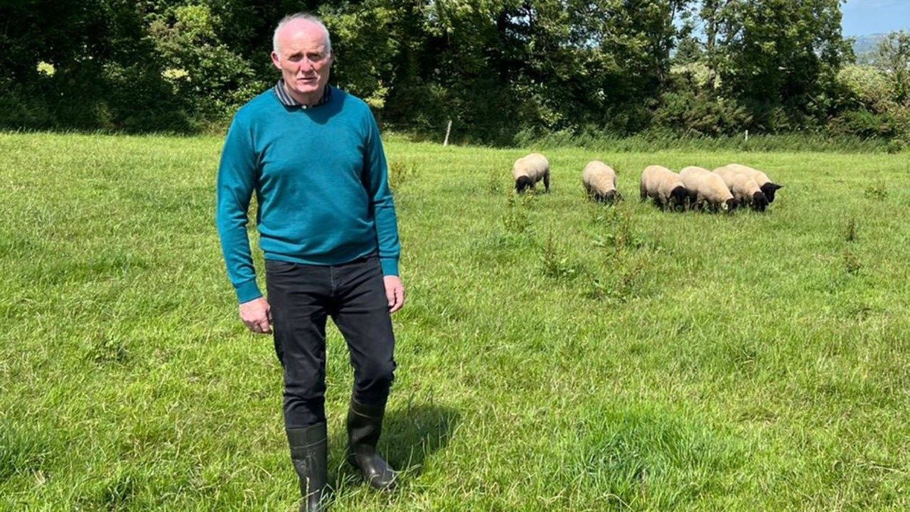 Read more about the article Finalist of Most Improved LambPlus Flock 2022 – Michael Clarke, Suffolks, Ballyhine