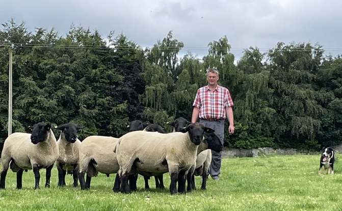 You are currently viewing Finalist of Most Improved LambPlus Flock 2022 – William J. Hutchinson, Suffolks, Chapelizod