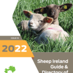 Sheep Ireland Guide & Directory of Breeders 2022