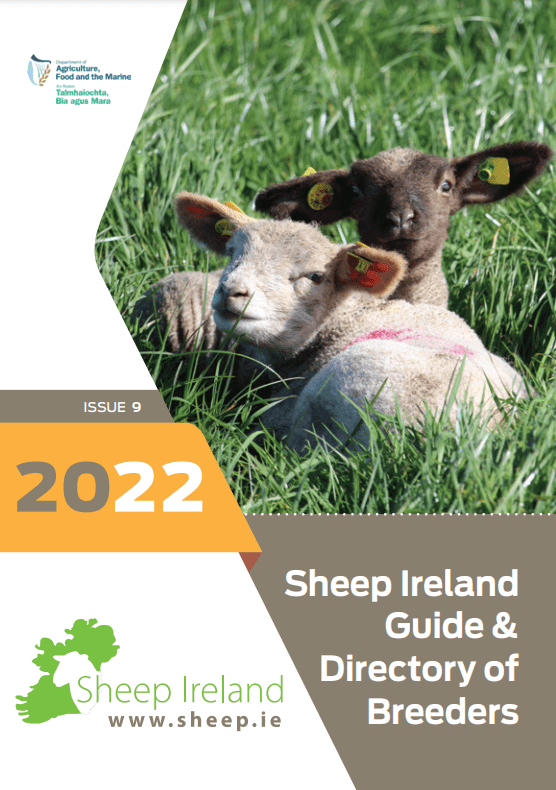 Read more about the article Sheep Ireland Guide & Directory of Breeders 2022