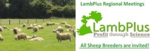 Read more about the article 2023 LambPlus Regional meetings