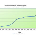 LambPlus Membership increases for 2023