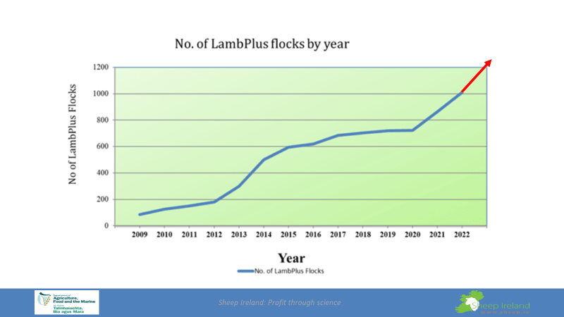Read more about the article LambPlus Membership increases for 2023