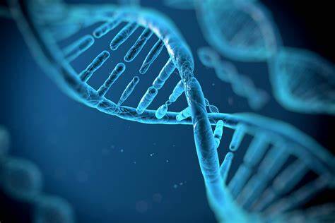 Read more about the article Where can I find the DNA results online?