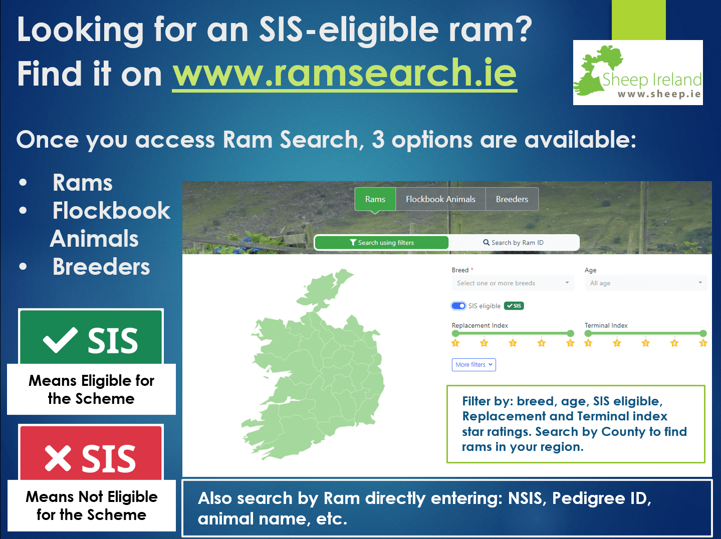 Read more about the article Looking for an SIS-eligible ram? Find it on our Ram Search