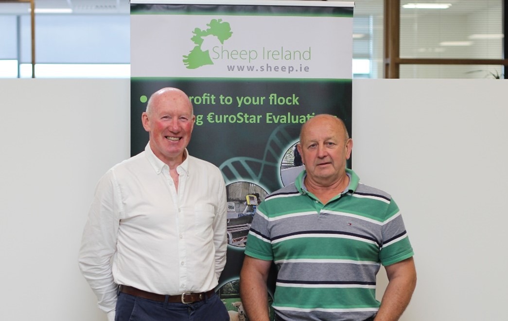 Read more about the article James Murphy, Chairperson of the Sheep Ireland Board Steps Down.