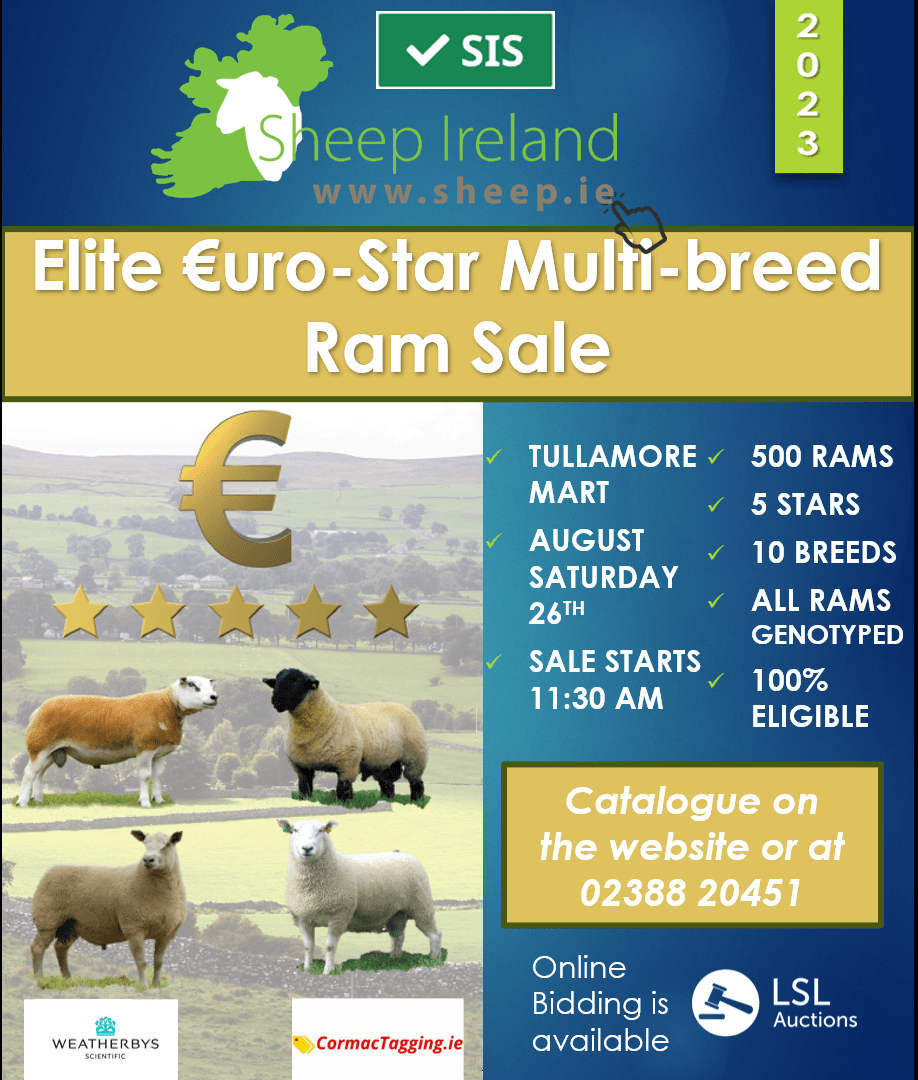 You are currently viewing It’s on this Saturday, August 26th! – Sheep Ireland Elite Multi-Breed €urostar Ram Sale. Download the Catalogue here.