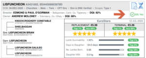 Read more about the article Genotyped Ram Action: Check rams SIS eligibility before purchase