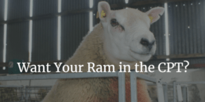 Last chance to put rams forward for the CPT for 2023
