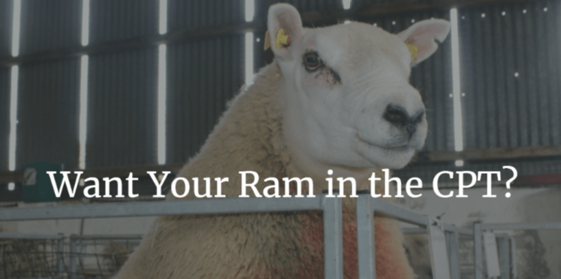 Read more about the article Last chance to put rams forward for the CPT for 2023