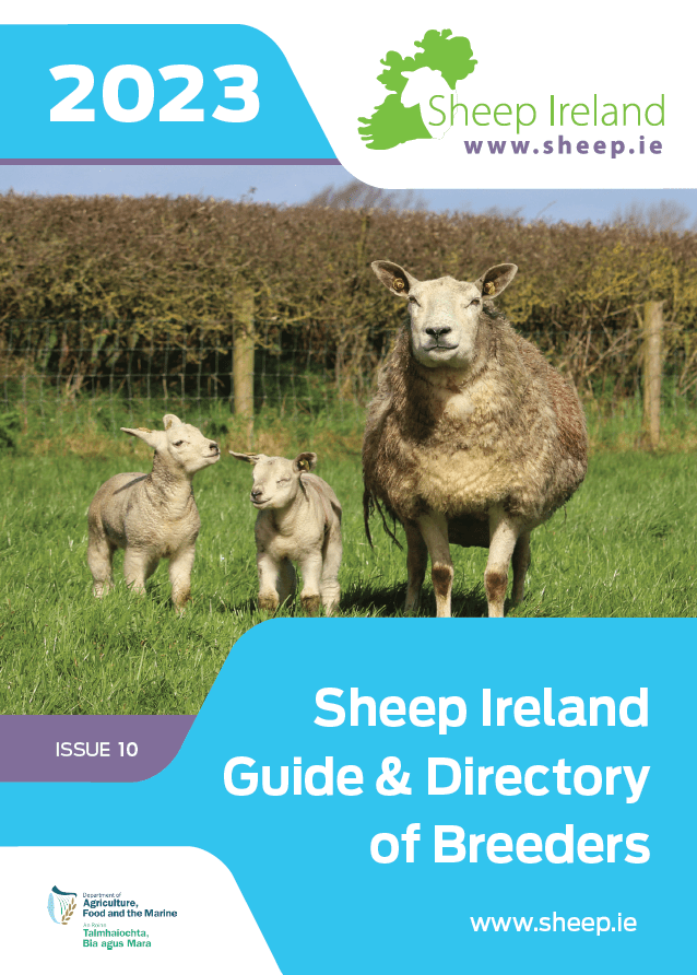 Read more about the article Sheep Ireland Guide & Directory of Breeders 2023