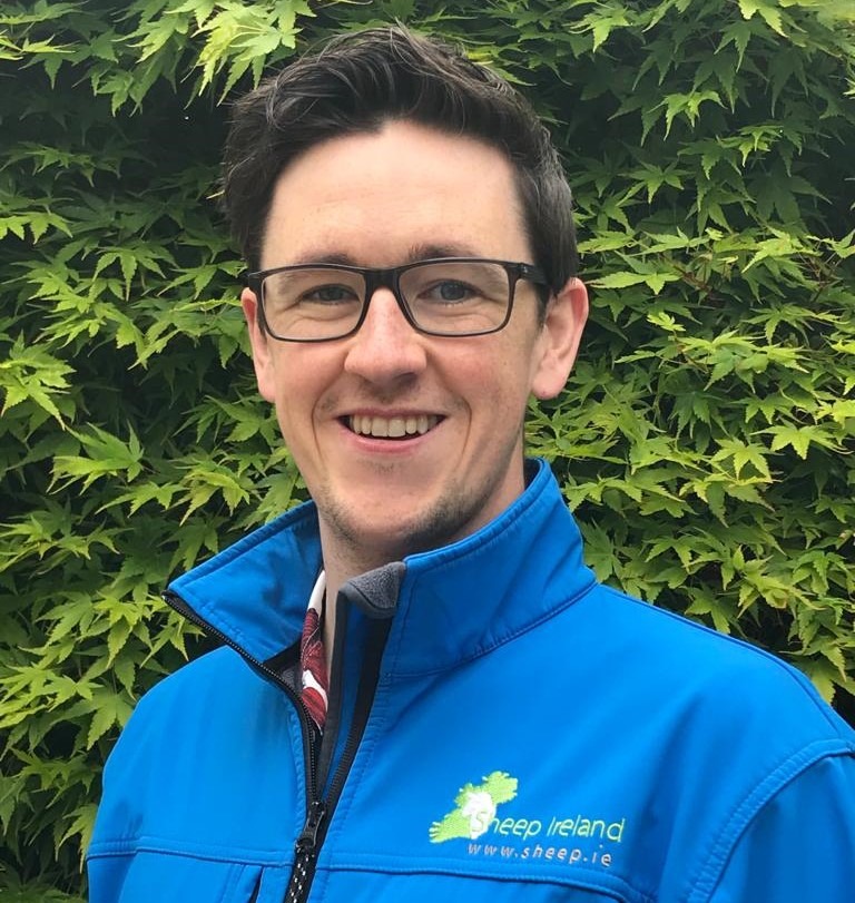 Read more about the article Kevin McDermott Transitions to a New Role at ICBF, Leaving Sheep Ireland on a Positive Note