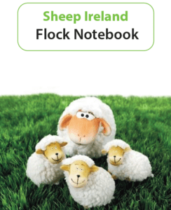Flock Recording Notebook
