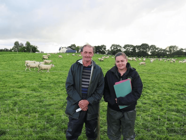 Read more about the article What’s the difference between 5 and 1 star-rated Replacement ewes?