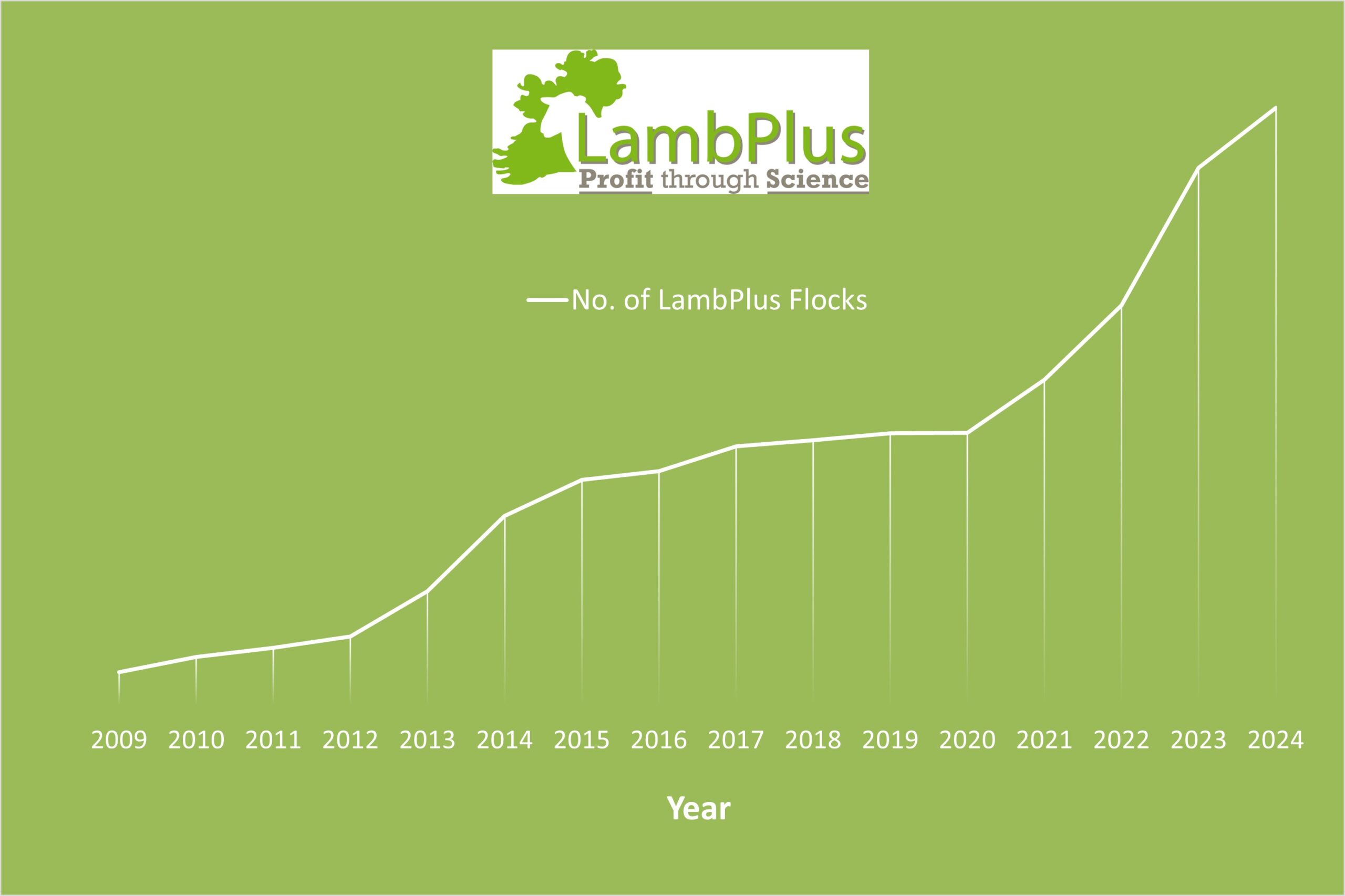 Read more about the article LambPlus memberships on the rise once again