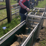 Weight Verification Pilot Project 2024