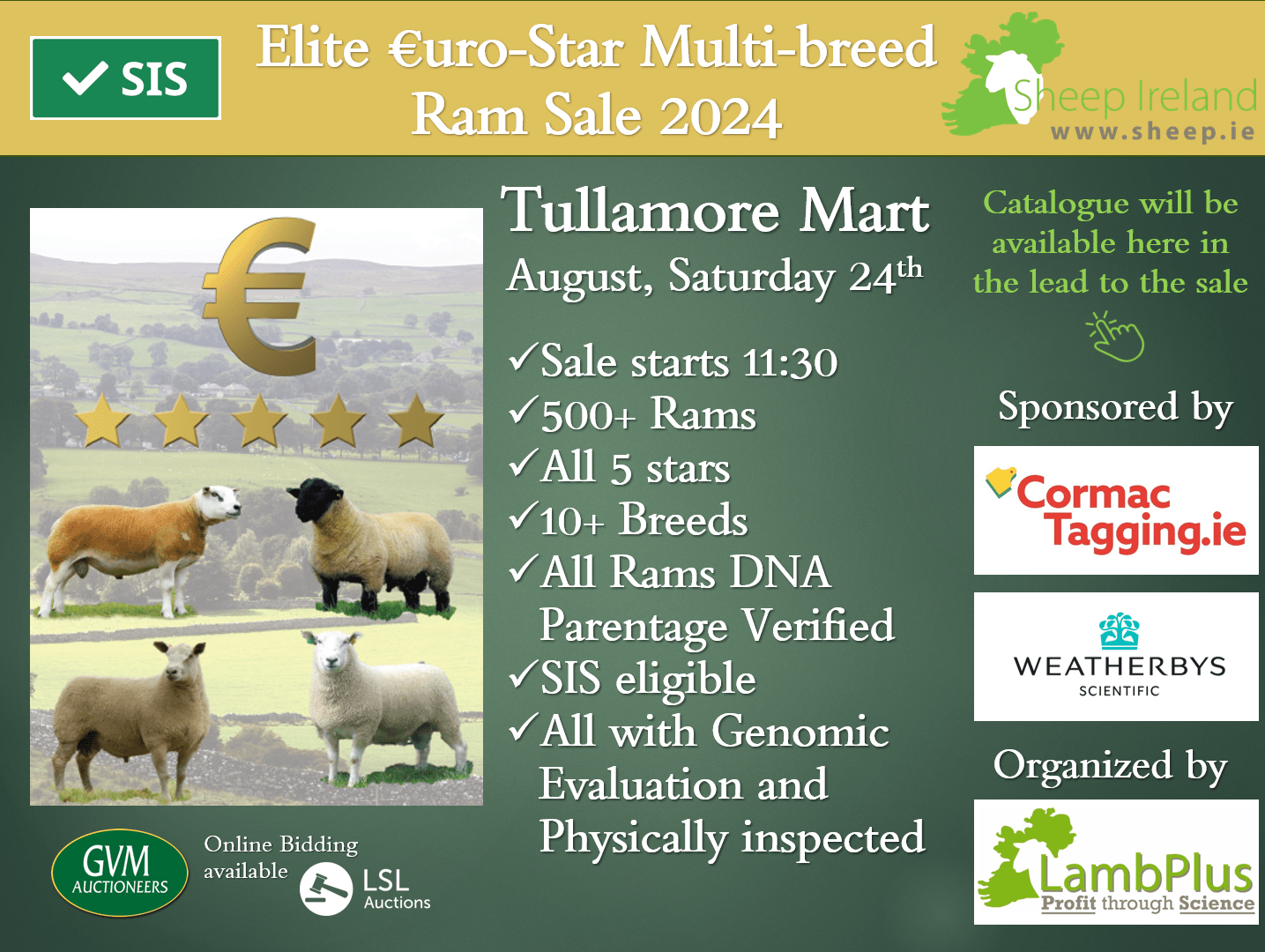 You are currently viewing 90 days countdown for the 2024 Elite €uroStar Multi-Breed Ram sale