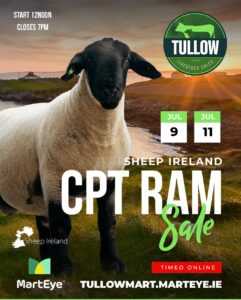 Read more about the article CPT Ram Sale Report 2024