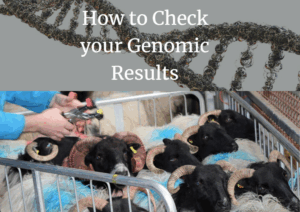 Read more about the article Hill Flocks Genomic Results