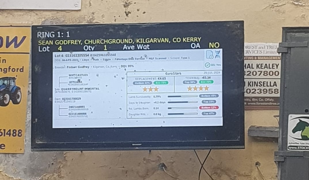 You are currently viewing €uroStar evaluations appearing on mart boards in real time new development