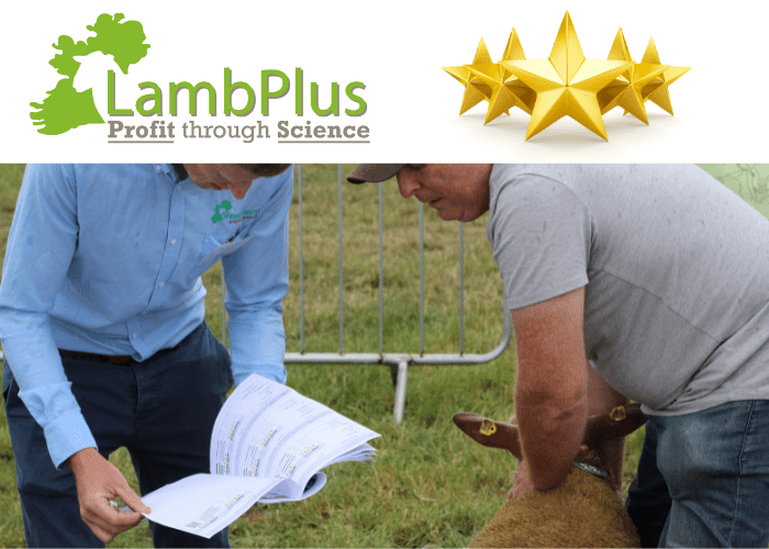 You are currently viewing €urostar Indexes. How do they work for commercial farmers?