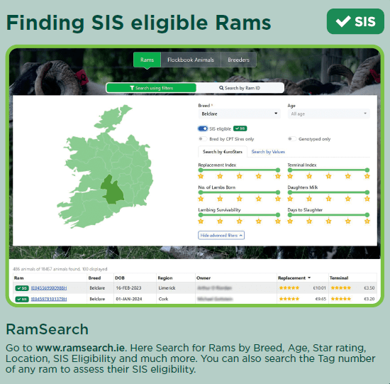 You are currently viewing How to check if my ram was eligible at the date of purchase for the SIS?
